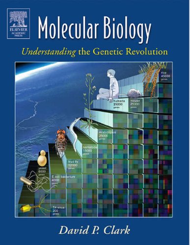 City Travel Guides Discounted  Books : Molecular Biology: Understanding the Genetic Revolution