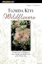 Florida Keys Wildflowers: A Guide to the Common Wildflowers of the Florida Keys