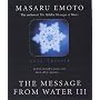 LOVE THYSELF: The Message from Water III: The Message from Water: v. 3