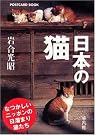 日本の猫