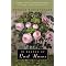 Ultimate Guide to Literary Roses in Books and on DVD
