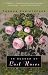 In Search of Lost Roses