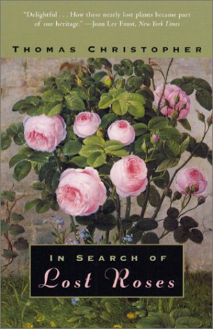 Image of: In Search of Lost Roses