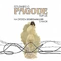 Estudando o Pagode