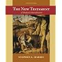 The New Testament: A Student's Introduction