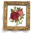 Roses IV - Gold Frame Magnet with pop-out easel (2-3/4" x 2-1/2")