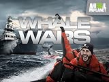 Whale Wars Season 2