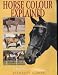 Horse Colour Explained: A Breeder's Perspective