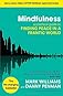 Mindfulness: A Practical Guide to Finding Peace in a Frantic World (Includes Free CD with Guided Meditations)