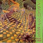 Invisible Lantern by  Screaming Trees 