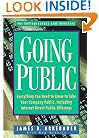 Going Public: Everything You Need to Know to Take Your Company Public, Including Internet Direct Public Offerings