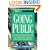 Going Public: Everything You Need to Know to Take Your Company Public, Including Internet Direct Public Offerings