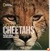 Face to Face With Cheetahs (Face to Face with Animals)