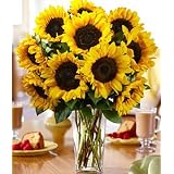 SunFlowers - Deluxe Sunflower Radiance Flowers Bouquet with Vase