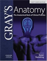 Gray's Anatomy: The Anatomical Basis of Clinical Practice