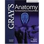 Gray's Anatomy: The Anatomical Basis of Clinical Practice
