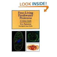 Freeliving Freshwater Protozoa: A Colour Guide