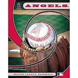 Turner Angels Portfolio (8101038)