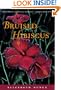 Bruised Hibiscus: A Novel