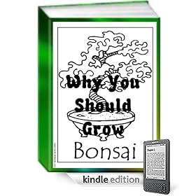 Why You Should Grow Bonsai