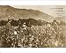 Photographic Prints of Izmir, Turkey - Opium Cultivation from Mary Evans