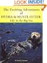 The Exciting Adventures of Hydra & Muste Otter: Life in the Big Sea