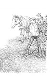 Sternenschweif 05. Sternenschweifs Geheimnis - Linda Chapman