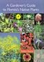 A Gardener's Guide to Florida's Native Plants