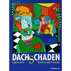 Dachschaden