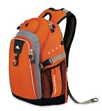 High Sierra Swell Backpack