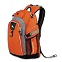 High Sierra Swell Backpack