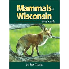 Mammals of Wisconsin Field Guide (Mammals Field Guides)