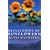Reflections of Sunflowers