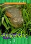Anacondas (Animals of the Rain Forest)