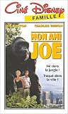 Revue Buena Vista Home Entertainement  / Mon ami Joe