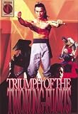 Revue Videoasia  / Triumph of Two Kung Fu Arts (Sub)