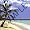 Tropical Paradise - Set Of 4 Coasters - Soft