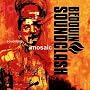Sounding Amosaic