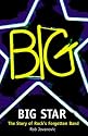 Big Star: The Story of Rock's Forgotten Band