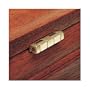 Solid Brass 2'' L X 7/8'' W Small Box Stop Hinges