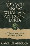 Do You Know What You Are Doing, Lord?: A Jungle Journey in Search of God