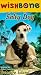 VHS : Wishbone: Salty Dog