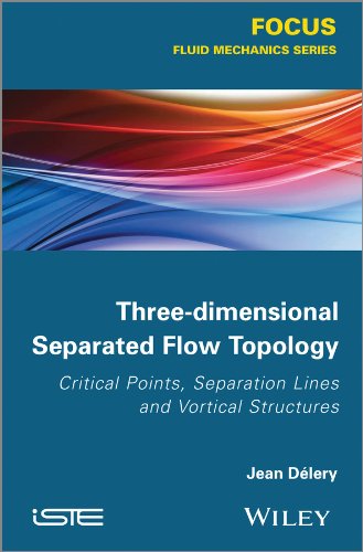 Three-dimensional Separated Flows Topology: Singular Points, Beam Splitters and Vortex Structures (FOCUS Series)