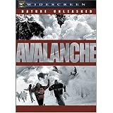Nature Unleashed: Avalanche
