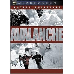 Nature Unleashed: Avalanche