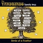 Family Tree: Birds of a Feather by  The Yardbirds 