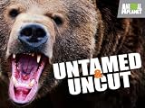 play video on Amazon Instant Video
