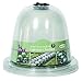 Tierra Garden 50-1110 Haxnicks Victorian Bell Plant Protector, Baby, 3-Pack