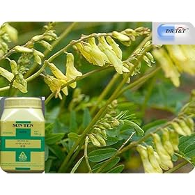 Immune boost 100g concentrated extract of astragalus(7:1)