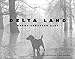 Delta Land (Author and Artist Series)